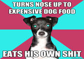 Dickhead Dog