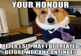 Lawyer Dog