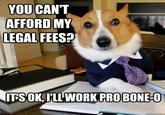Lawyer Dog