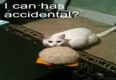 I Accidentally