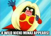 A Wild X Appears! / Wild X Appeared!