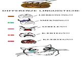 Differenze Linguistiche