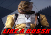 Like A Boss