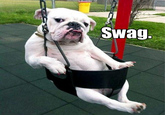 Swag