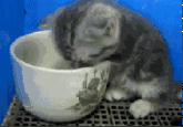 If It Fits I Sits