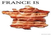 Bacon
