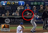 Royals Book Guy