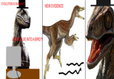 3e6.png