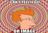 Futurama Fry / Not Sure If X