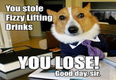 Lawyer Dog