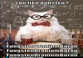 Chemistry Cat