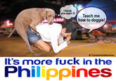 It's More Fun in the Philippines