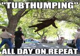 Falling Bear