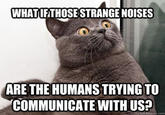 Conspiracy Keanu