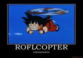 ROFLcopter