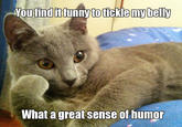 Willy Wonkat