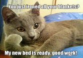 Willy Wonkat
