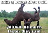 It Will Be Fun, They Said