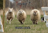 Haters Gonna Hate