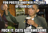 Upvoting Obama