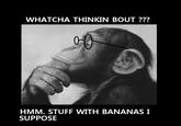 Whatcha Thinkin Bout?