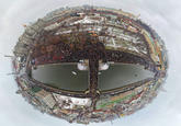 2011 Russian Protests
