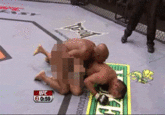 Unnecessary Censorship