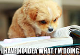 I Have No Idea What I'm Doing