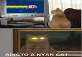 Nyanyanyanyanyanyanya!