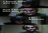 Dark Knight 4 Pane