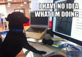 I Have No Idea What I'm Doing