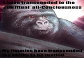 That Really Rustled My Jimmies