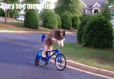 They see me rollin'