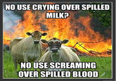 Evil Cows