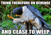 ca4.jpg