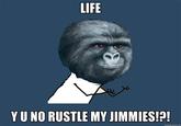That Really Rustled My Jimmies