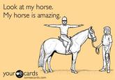 Amazing Horse