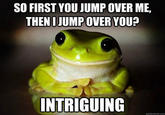 Therapy Frog