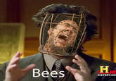 Ancient Aliens