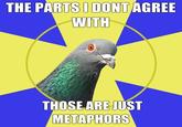 Religion Pigeon