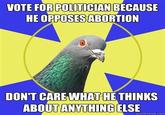 Religion Pigeon