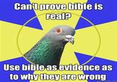 Religion Pigeon