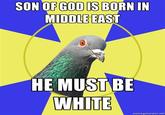 Religion Pigeon