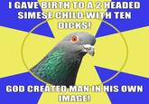 Religion Pigeon