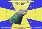 Religion Pigeon