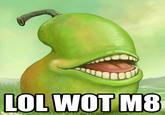 U WOT M8