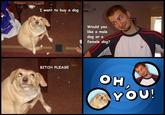 Oh, You