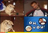 Oh, You