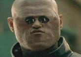 Matrix Morpheus