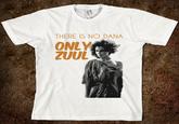 There is No Dana, Only Zuul